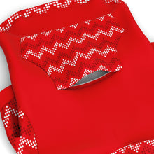 Load image into Gallery viewer, Holiday Zig Zag Stripe Dog Zip-Up Hoodie
