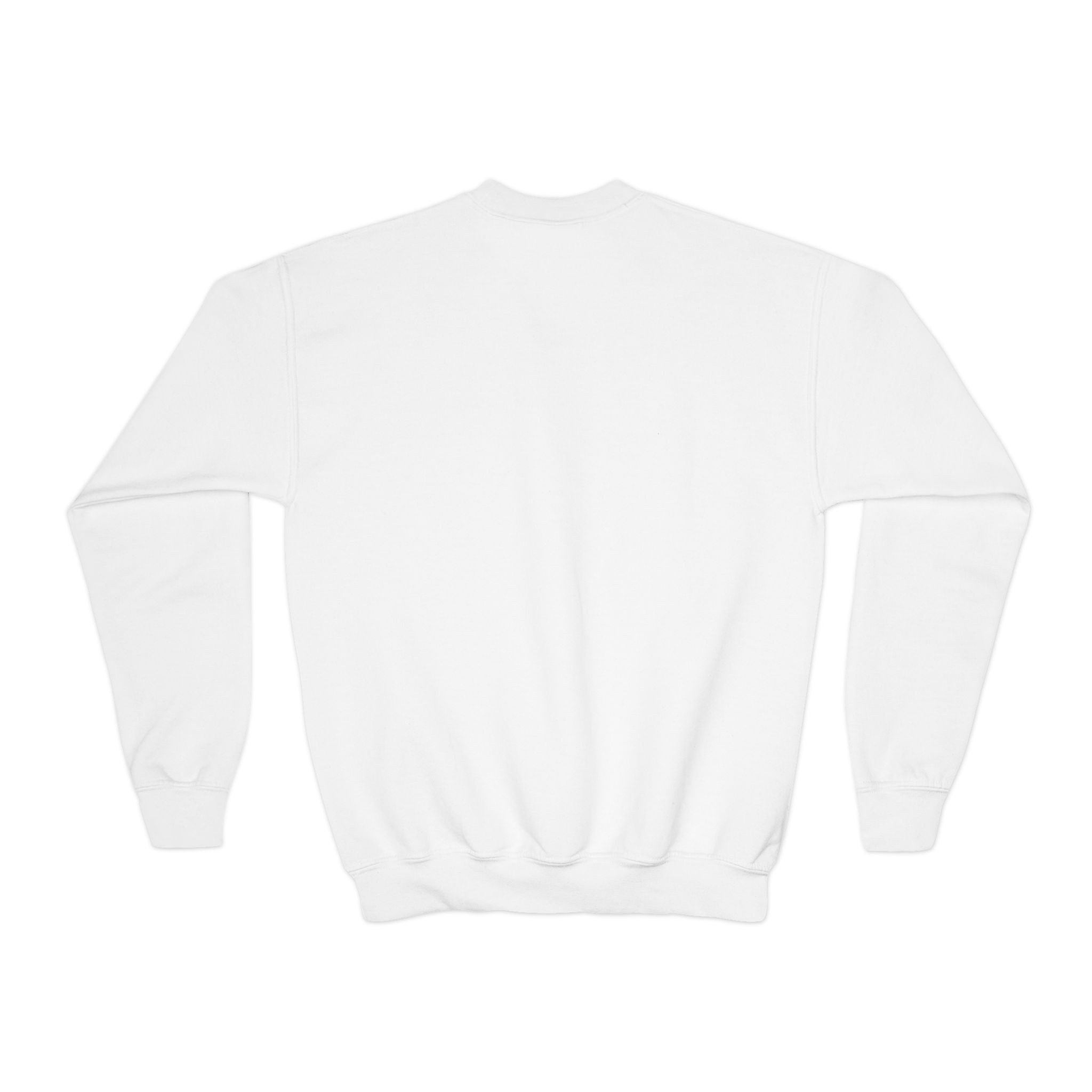 Black Cat Embroidered Youth Crewneck Sweatshirt