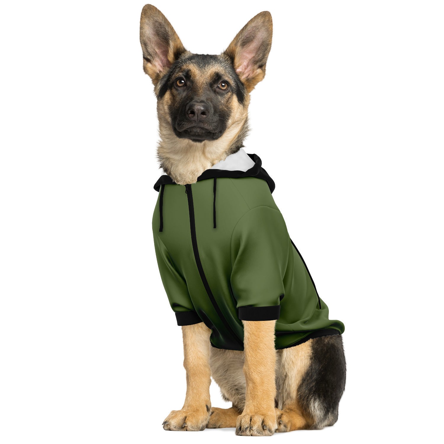 Green Fashion Dog Zip-Up Hoodie with Black Pocket