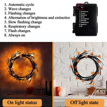 Load image into Gallery viewer, Halloween Indoor/Outdoor LED Willow Vine String Pumpkin Light Decoration
